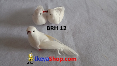 large2 BRH 12 b
